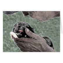 Stop Puppy Mills Animal Adoption Card