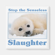 Stop slaughter-seals fridge magnets