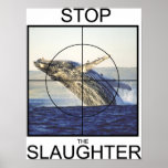 Stop Slaughter-whales posters
