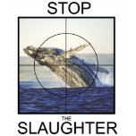 Stop Slaughter-whales t-shirts