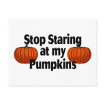 Stop Staring At My Pumpkins Post Card