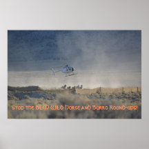Stop the BLM Wild Horse and Burro Round-ups Posters