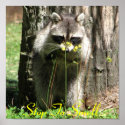 Stop To Smell The Flowers posters