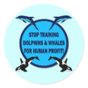 STOP TRAINING DOLPHINS & WHALES stickers