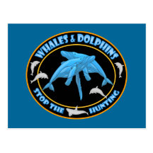 Stop Whale Hunting Postcards