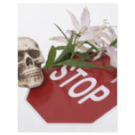 StopSignSafety051409 flyers