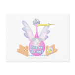 Stork Baby on the Way postcards