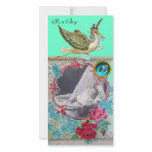 STORK BABY SHOWER MONOGRAM ,aquamarine photo cards