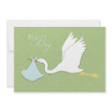 Stork Delivery Boy Invitation Card