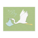 Stork Delivery Boy Postcard