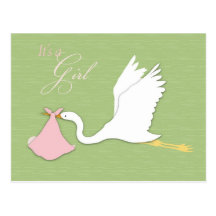 Stork Delivery Girl Postcard