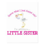 Stork Little Sister T-shirt Postcard