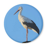 Stork on pole refrigerator magnet