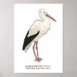 stork trivia posters