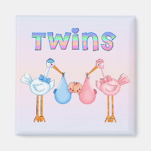 Stork with Twins Fridge Magnets