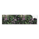 Stork's Bill bumper stickers