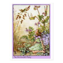 Storks Bill Fairy Post Card