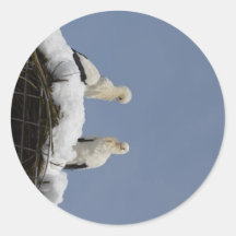Storks Round Stickers