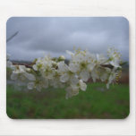 Storm Blossoms Mousepad