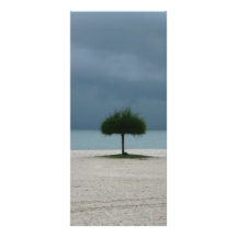 Storm Brewing Full Color Rack Card