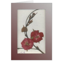 Storm Rose Greeting Cards