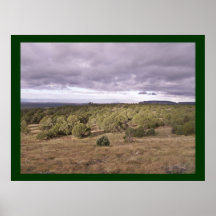 Storm's a come'n    Arizona style Posters