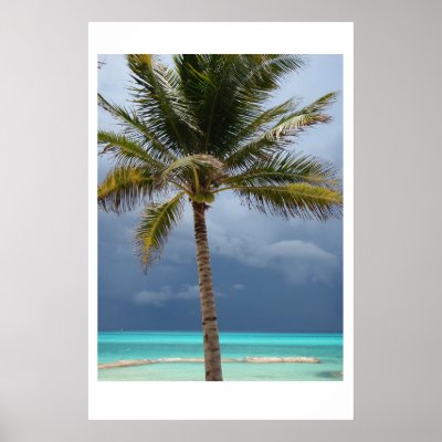 Stormy Paradise Poster