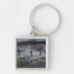 Stormy Swans Keychain