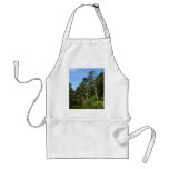 Stow Lake In San Franciscos Golden Gate Park aprons