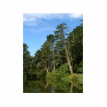 Stow Lake In San Franciscos Golden Gate Park photo sculptures