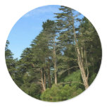 Stow Lake In San Franciscos Golden Gate Park stickers