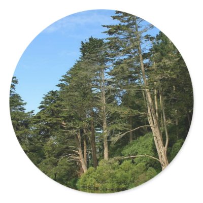 Stow Lake In San Franciscos Golden Gate Park Round Stickers by lifesphere