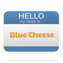 Strain - Blue Cheese Square Stickers