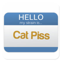 Strain - Cat Piss Square Sticker