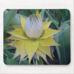 Strange and Unsual Plant Mouse Pads