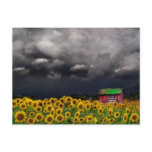 Strange Day , Postcard