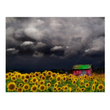 Strange Day , Postcard