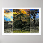 Strange Days Indeed Print