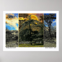 Strange Days Indeed Print