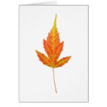 Strange Yellow Maple Leaf Card