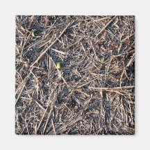 Straw Hay Background Texture Fridge Magnet