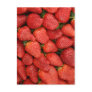 STRAWBERRIES 5X7 POSTCARDS