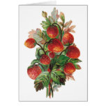 Strawberries Customizable Cards