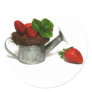 strawberries in a small watering can round stickers