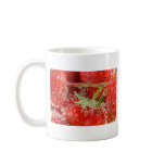 Strawberries in water close up mug