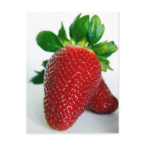 strawberry #1 postcards