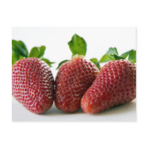 strawberry #4 postcard