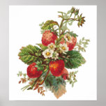 Strawberry Blooms Customisable Poster posters