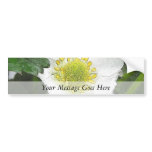 Strawberry Blossom Bumper Stickers
