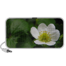 Strawberry Blossom Doodle Speaker